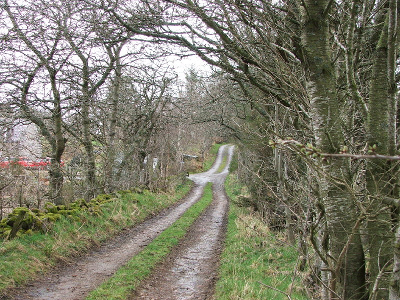 TrackFromKincardineO'Neil